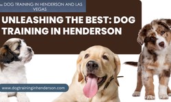 Unleashing the Best: Dog Training in Henderson