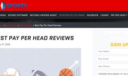 Pay per head reviews