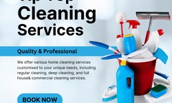Top-Notch Carpet Cleaning Services in Ringwood