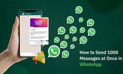 How to Send 1000 Messages at Once in WhatsApp Without Broadcast?