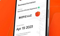 Limited Liability Company