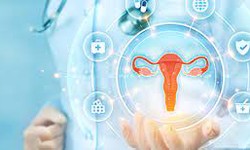 Find The Best Gynecologist Doctor In Delhi: The Expertise of Dr. Rupali Chadha