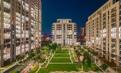Insider's Guide: NRI Property Purchasing with Saan Verdante