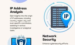 Unlocking Location Insights: The Best Free APIs for IP Address Geolocation