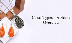 Types of Coral Stone A Complete Guide