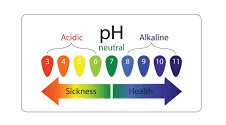 The Diffference Between pH Neutral and Acid-Free