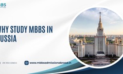 Exploring the advantages and disadvantages of studying mbbs in russia