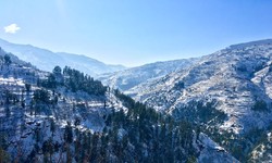 Shimla- A perfect way to a break for a memorable trip together!