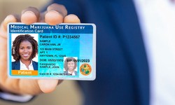 Renewing Your Florida Medical Marijuana Card: A Comprehensive Guide