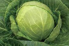 Revolutionize Your Meals: How Cabbage Can Transform Your Health and Well-Being!