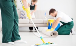 Expert Tips for Choosing the Best Carpet Cleaning Service