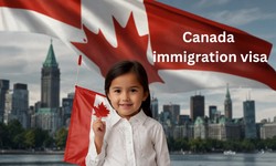 Navigating the Pathway to Canada: A Guide to Immigration Visas