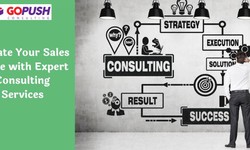 Elevate Your Sales Game with Expert Consulting Services