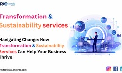 Navigating Change: How Transformation & Sustainability Services Can Help Your Business Thrive