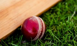 Taj777: India's Premier Online Platform For Cricket Betting And More