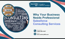Why Your Business Needs Professional Salesforce Consulting Services