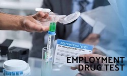 Employee Drug Testing Solutions: Ensuring a Safe and Productive Workplace