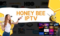 Stream Effortlessly with Honey Bee IPTV