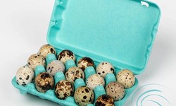 The Evolution and Importance of Egg Cartons: A Getaway into the Poultry Crates