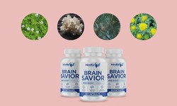 BRAIN SAVIOR REVIEW [(⚠️BUYERS BEWARE❗️❌)] Brain Savior Reviews - BRAIN SAVIOR Supplement