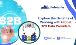 Explore the Benefits of Working with Global B2B Data Providers