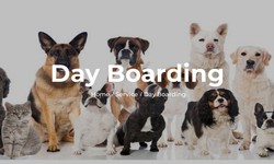 Importance of pet grooming and boarding services