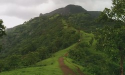 10 Hill Stations Near Navsari Worth Visiting