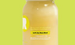 Delving Deeper: Sea Moss Supplement Unraveled - From Ocean Depths to Health Heights