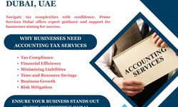 Save Money on Taxes in Dubai: Top Tips from a Local Accounting Firm
