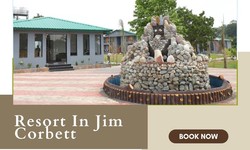 Experience Nature's Embrace at The Wild River Resort in Jim Corbett