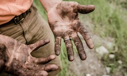 Agriculture Strategy Consulting: Effective Strategy Execution