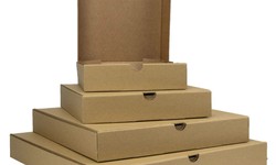 Top Trends in Packaging and Disposables for 2024