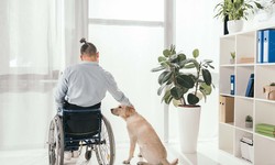 How to Choose the Right Support Coordination Provider?