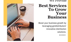 Distribution Strategies: How to Maximize Your Business Opportunities.