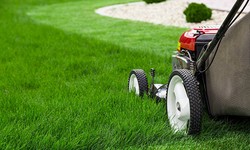 What is The Importance of Lawn Care?