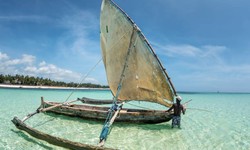 10 Reasons to Immerse Yourself in  Mombasa Marine Park