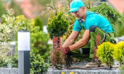 Benefits of Hiring Landscape Contractors in Riyadh