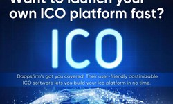 Create Your ICO Website with Customizable ico Dashboard Script