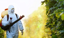 The Rise of Biopesticides: Nurturing Sustainable Agriculture