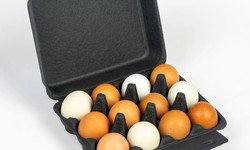 Egg Cartons: The Essential Packaging for Fresh Eggs