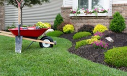 5 Factors to Consider Before Softscape Landscaping Installation in Riyadh