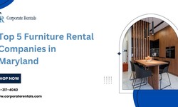 Top 5 Furniture Rental Companies in Maryland