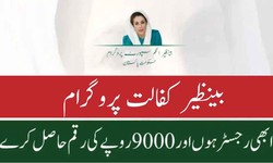 Exploring the Benefits of the Benazir Kafalat Program Check CNIC