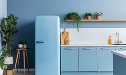 Everything You Need to Know Before Buy Double Door Refrigerator