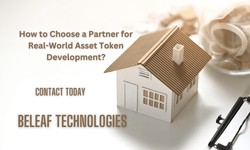 How to Choose a Partner for Real-World Asset Token Development?