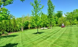 What Do Lawn Care Services Include?