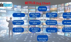 Explore Netflix's Marketing Strategies & How To Target Them with Media Company-Based Org Charts