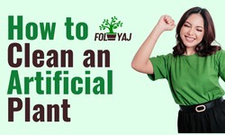 How to Clean an Artificial Plant: A Comprehensive Guide