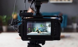 Choosing the Right Animated Video Production Services for Your Project