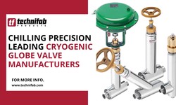 Chilling Precision: Leading Cryogenic Globe Valve Manufacturers